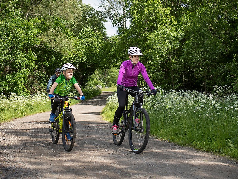 En kvinna och ett barn cyklar på mountainbikes på Hovdala.