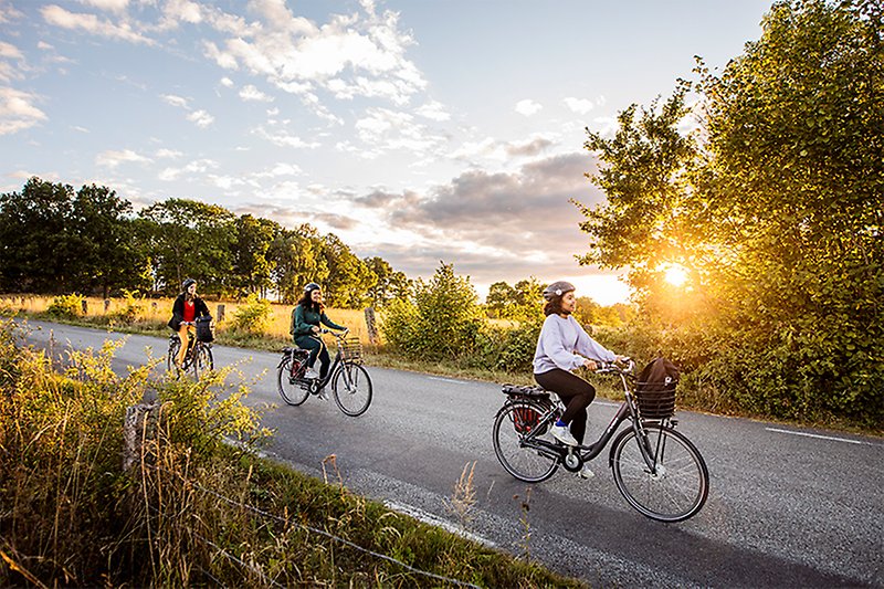 Tre tjejer som cyklar på en landsväg.